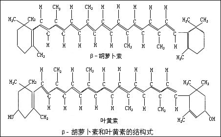 科米代謝 類胡蘿卜素檢測(cè)